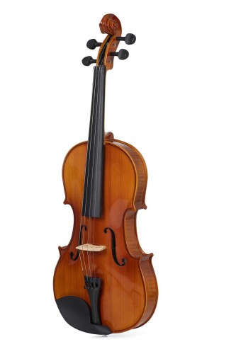 Bardsen BVA1100 4/4 Viola - 2