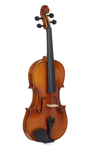 Bardsen BVA1100 4/4 Viola - 3