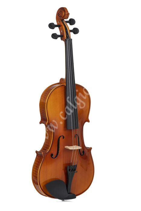 Bardsen BVA1100 4/4 Viola - 3