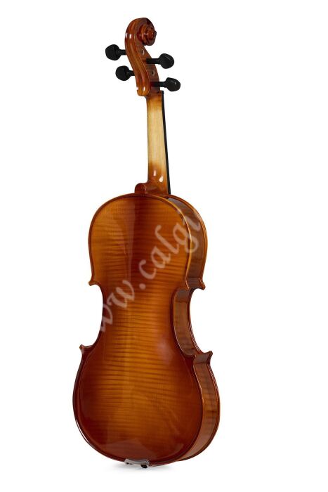 Bardsen BVA1100 4/4 Viola - 4