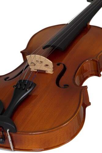 Bardsen BVA1100 4/4 Viola - 6