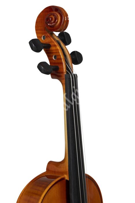 Bardsen BVA1100 4/4 Viola - 7