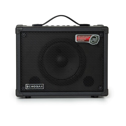 Echoban DC30 30 Watt Amfi - 1