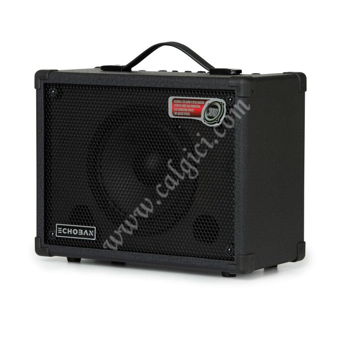 Echoban DC30 30 Watt Amfi - 2