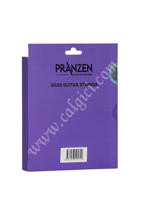 Pranzen PSB60M Bas Gitar Teli - 3