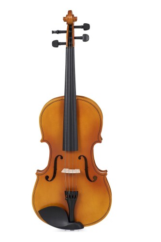 Ravenni RVA165 4/4 Viola - 1