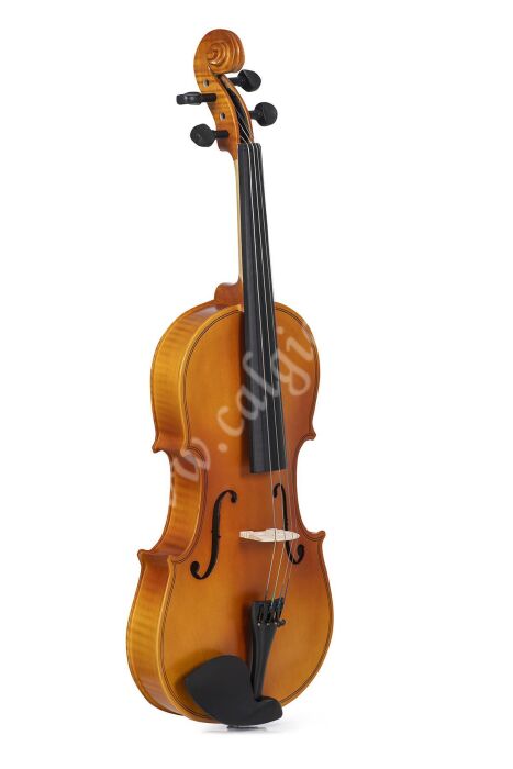 Ravenni RVA165 4/4 Viola - 2