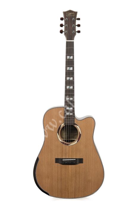 Zoppran ACZP800 Akustik Gitar - 2