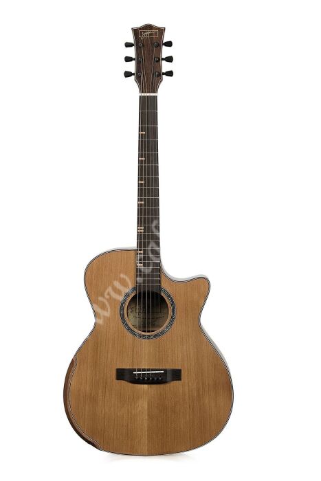 Zoppran ACZP900 Akustik Gitar - 2