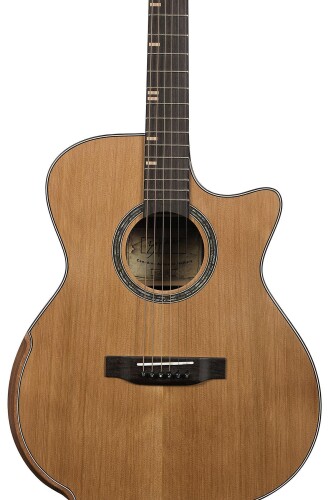 Zoppran ACZP900 Akustik Gitar - 5