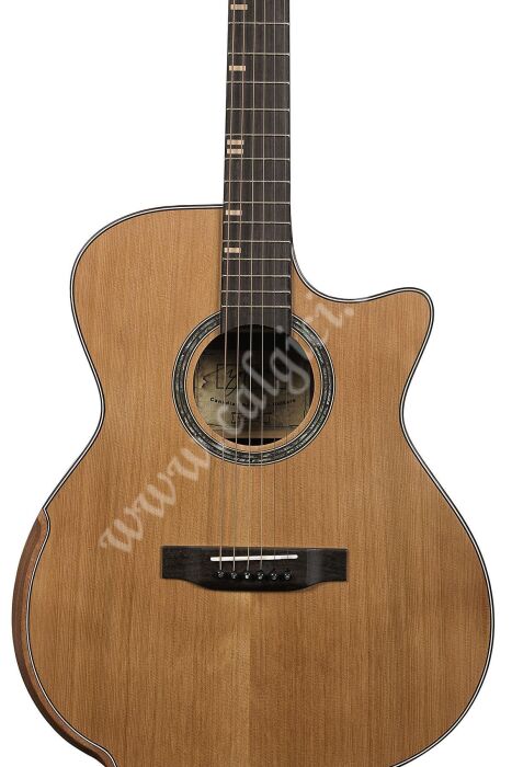 Zoppran ACZP900 Akustik Gitar - 5